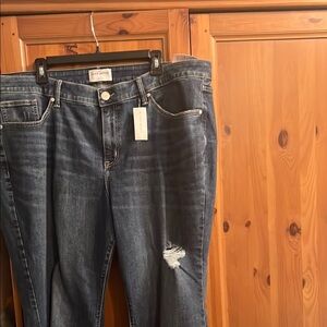 Lane Bryant Indigo Boyfriend Jeans